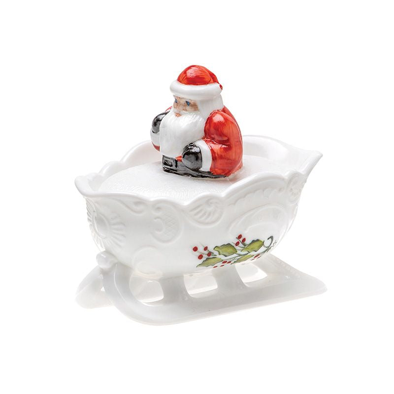 Santa On Sleigh