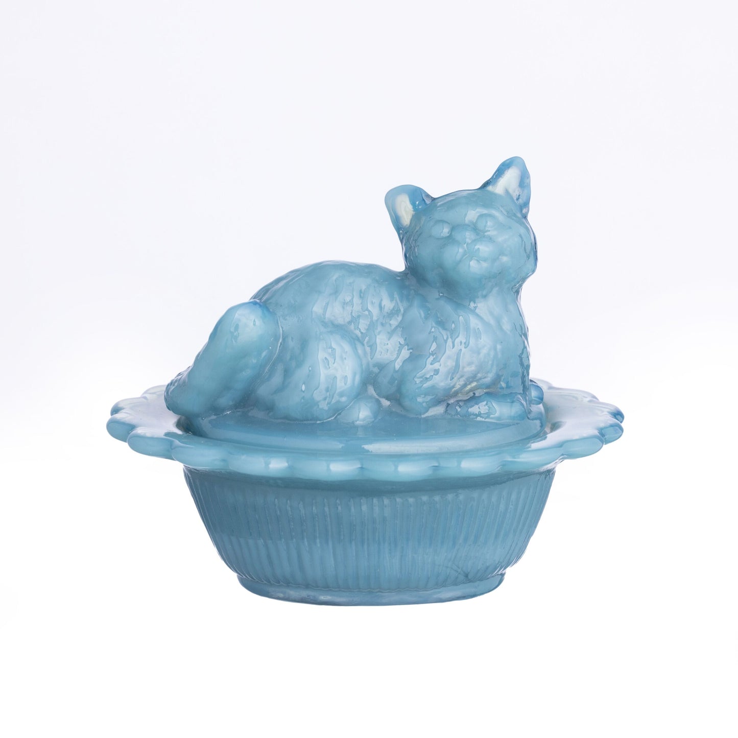 Mini Cat on Basket