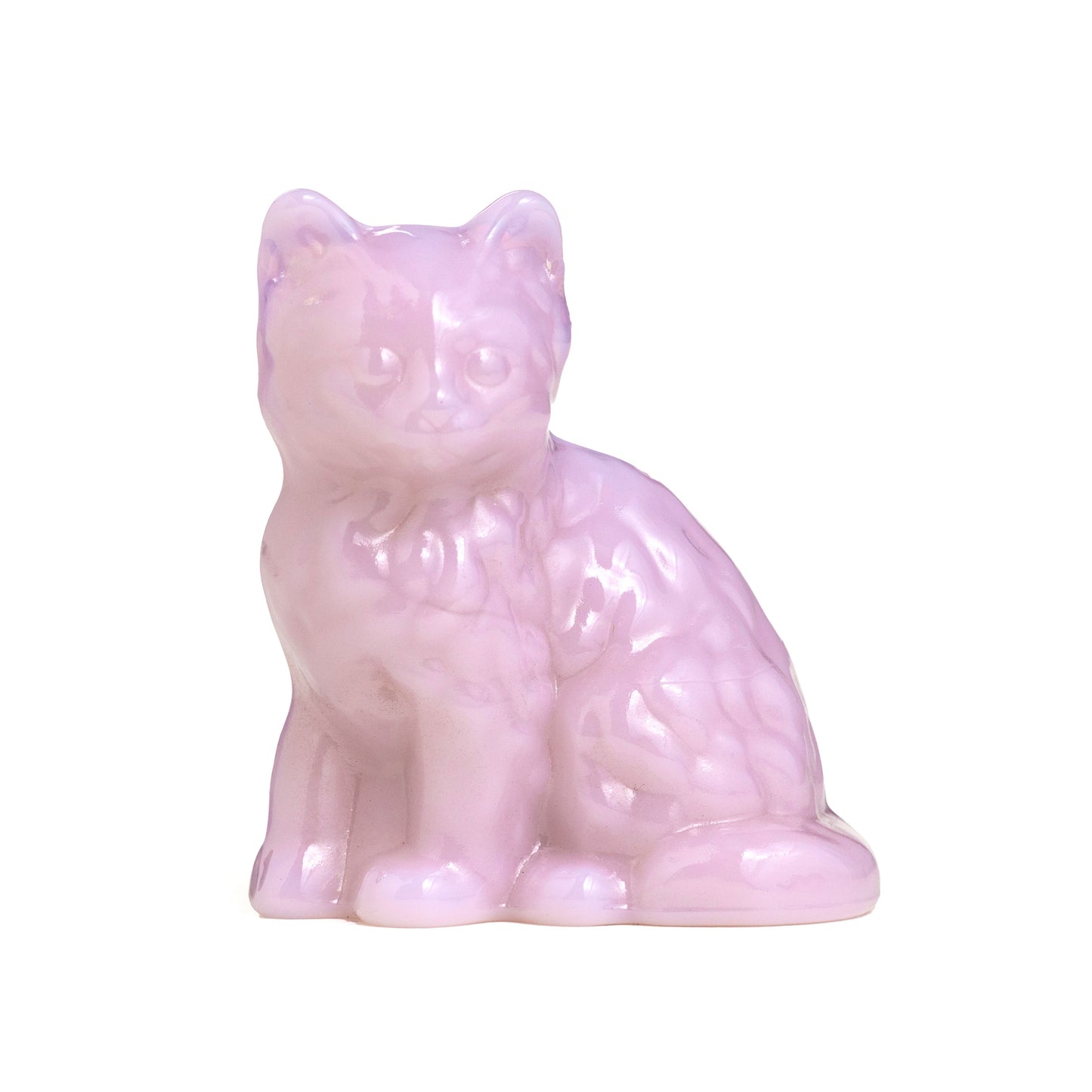Kitty