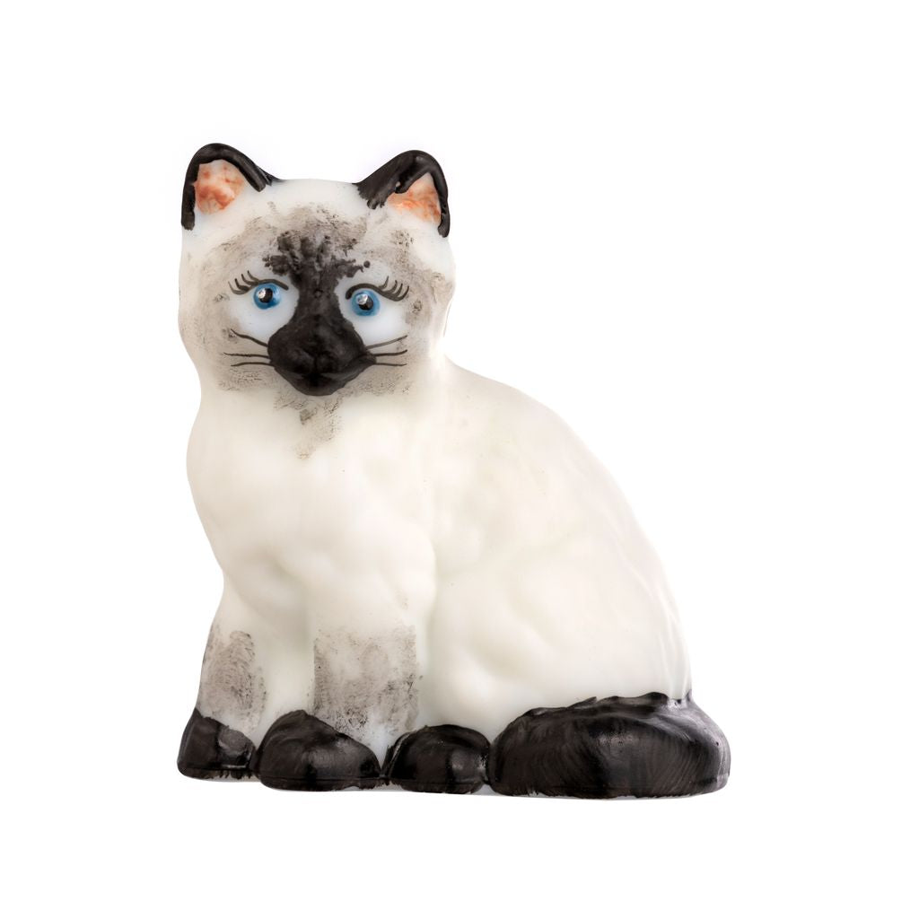 Kitty