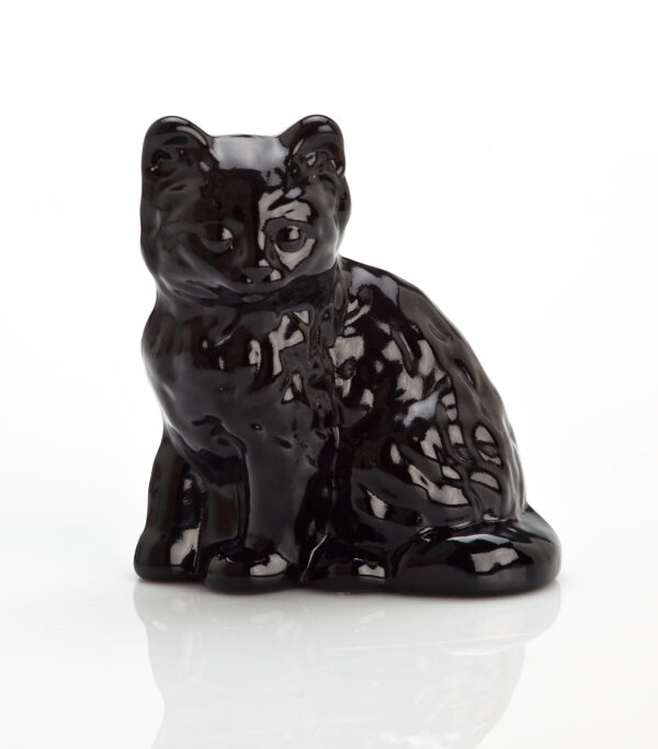 Kitty