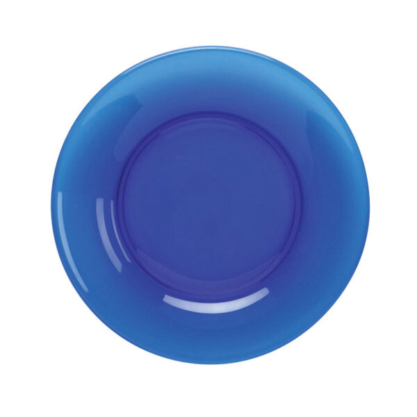 10" Plate