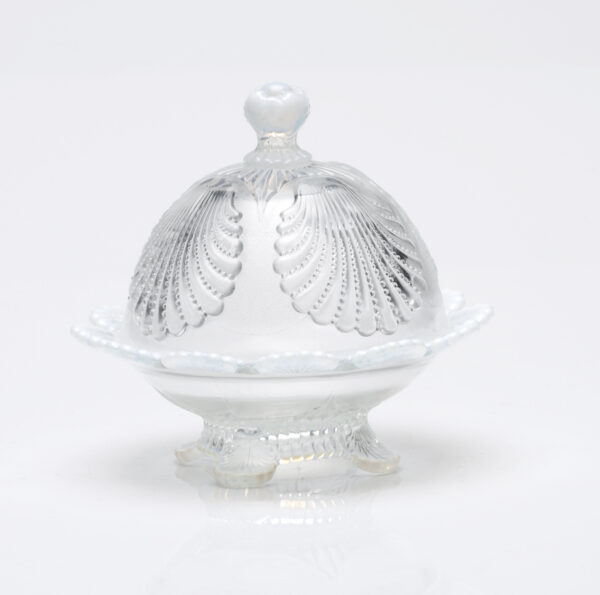 Shell Butter